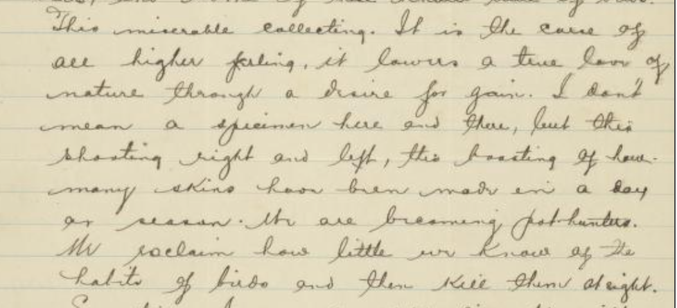 handwritten page from a field notebook.