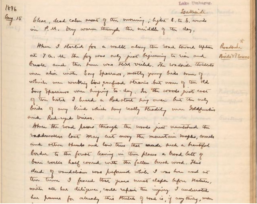 handwritten page from a field notebook.