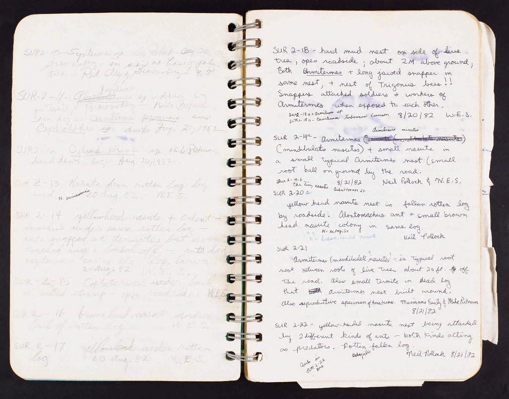 An open spiral notebook with handwritten notes only on the right page. 