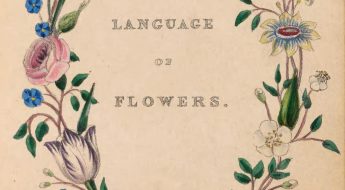 Book title page with title" The Language of Flowers" encircled in a wreath of flowers.