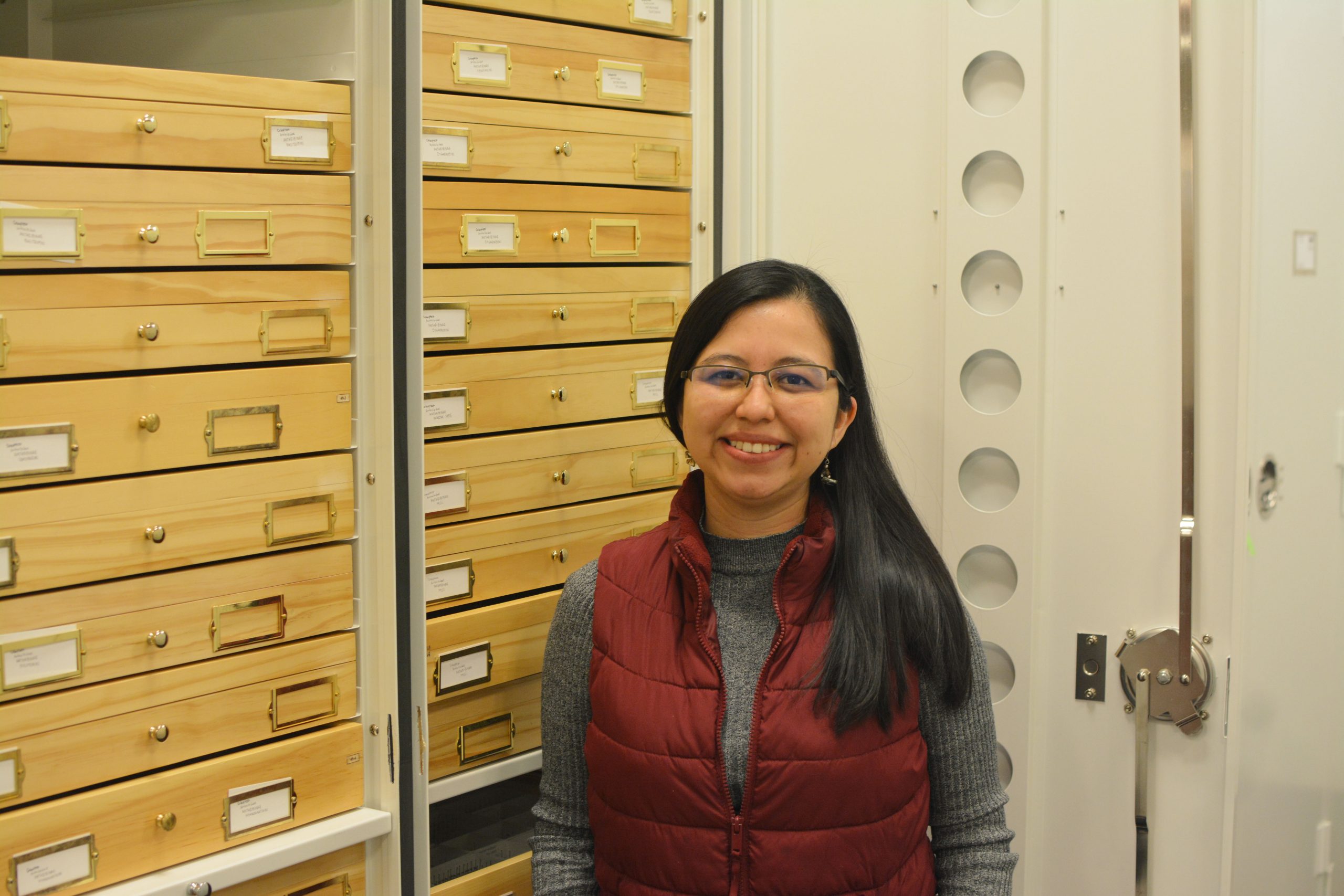 A person with dark hair in a red vest and gray shirt standing in front of collection specimen drawers.