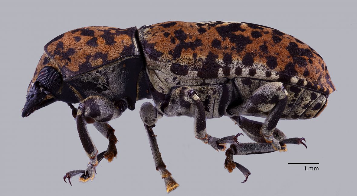 Read the full blog post