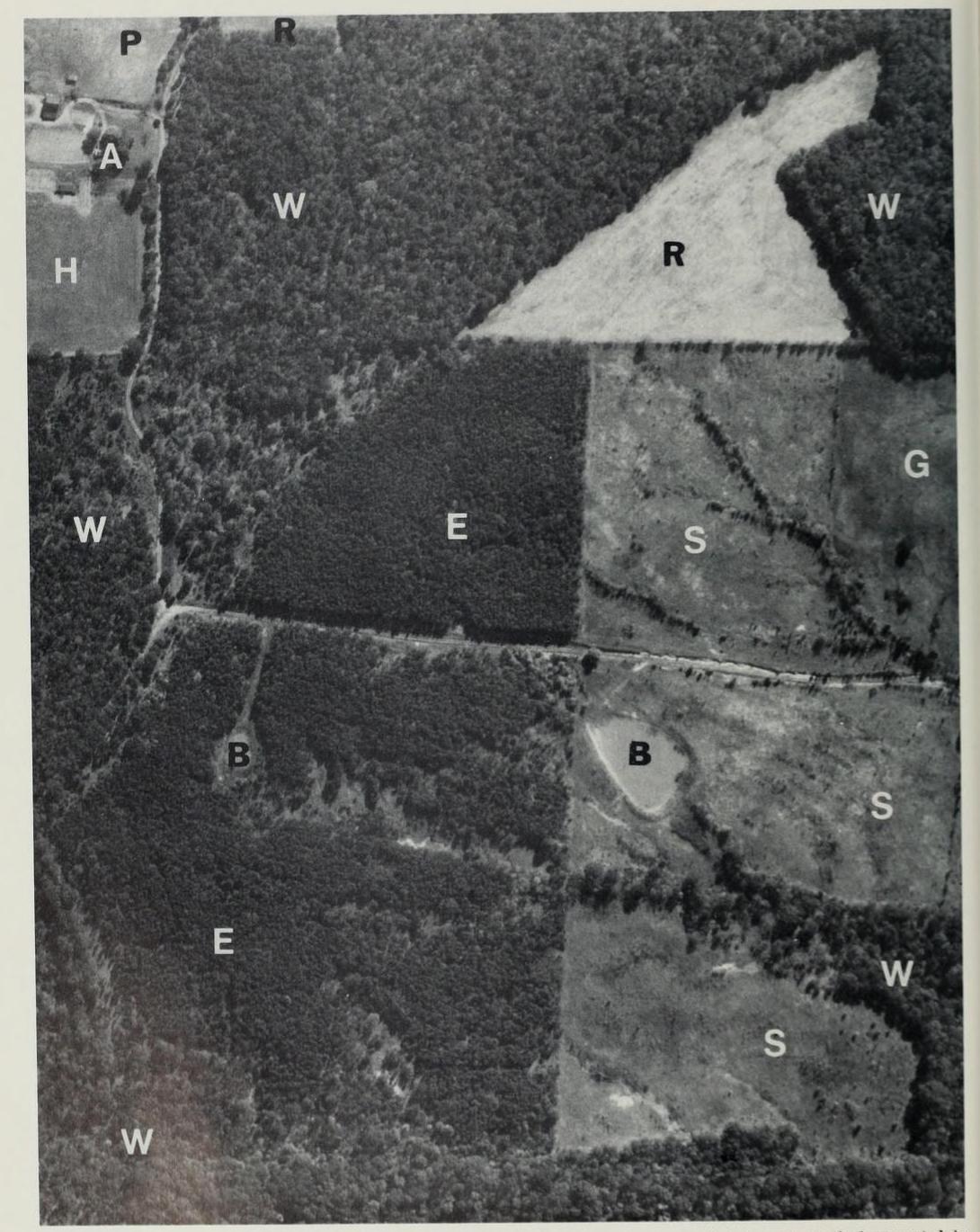 black and white aerial photo