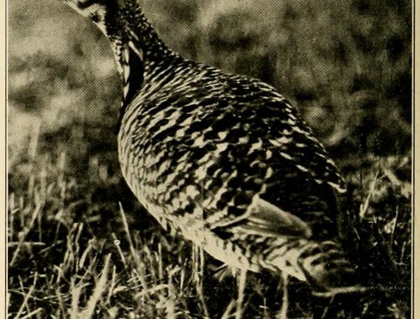 Read the full blog post