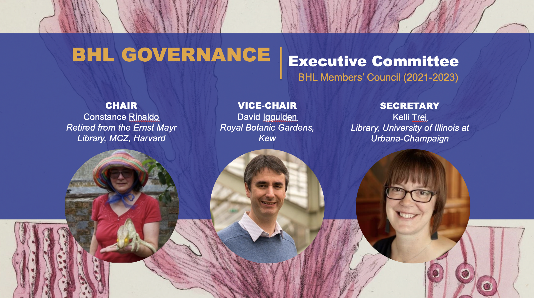 Graphic with photos of two women and a man and the text "BHL Governance: Executive Committee"