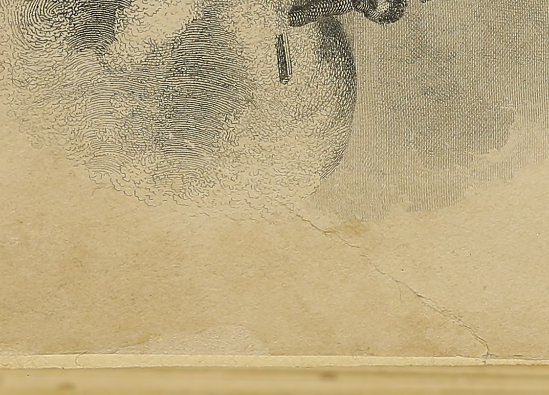 Close-up of a repair made on a page in a book.