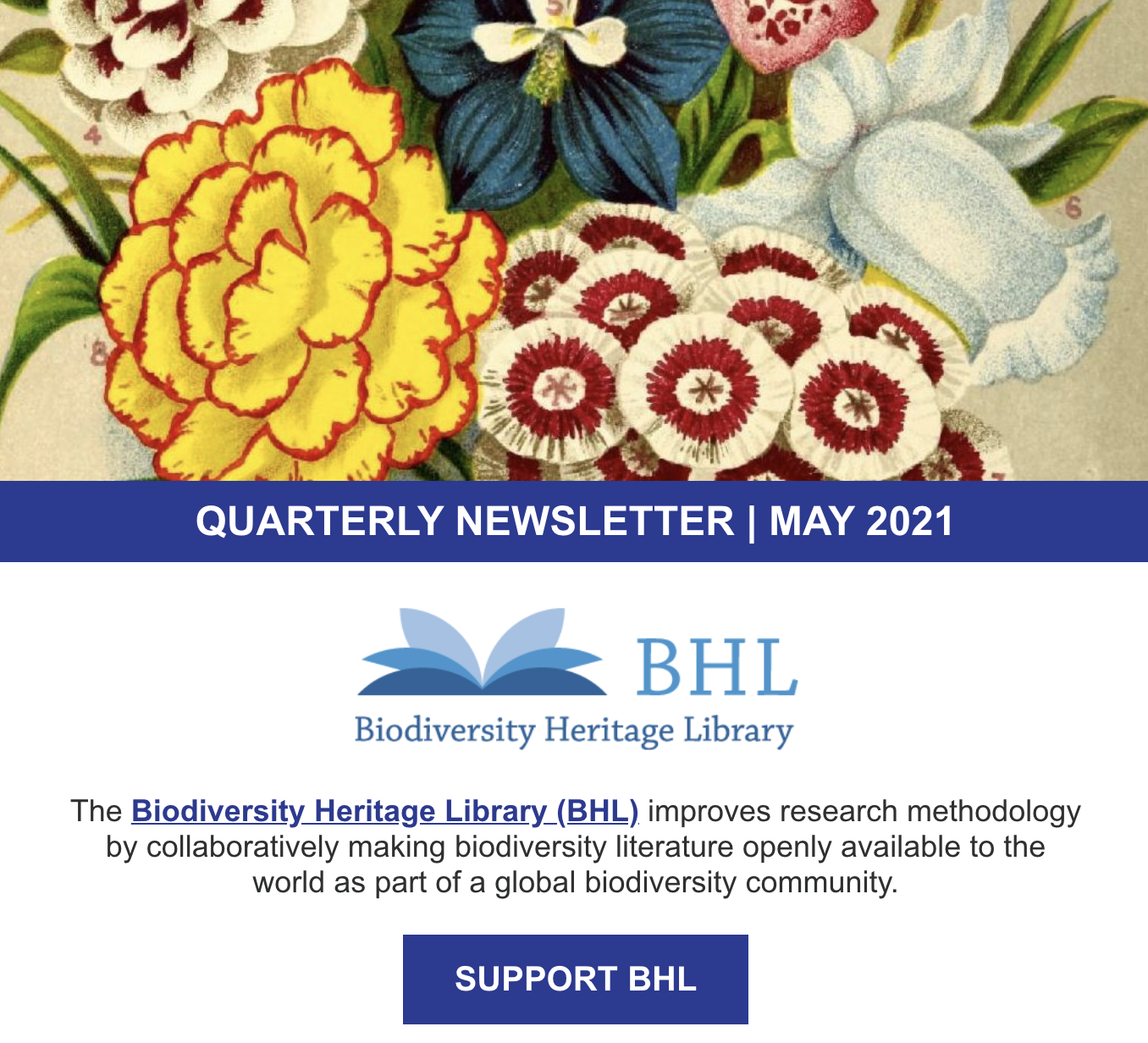 Screenshot of the May 2021 BHL qaurterly newsletter