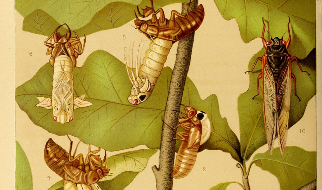 Read the full blog post