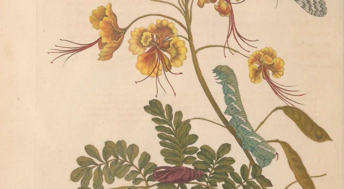 Read the full blog post