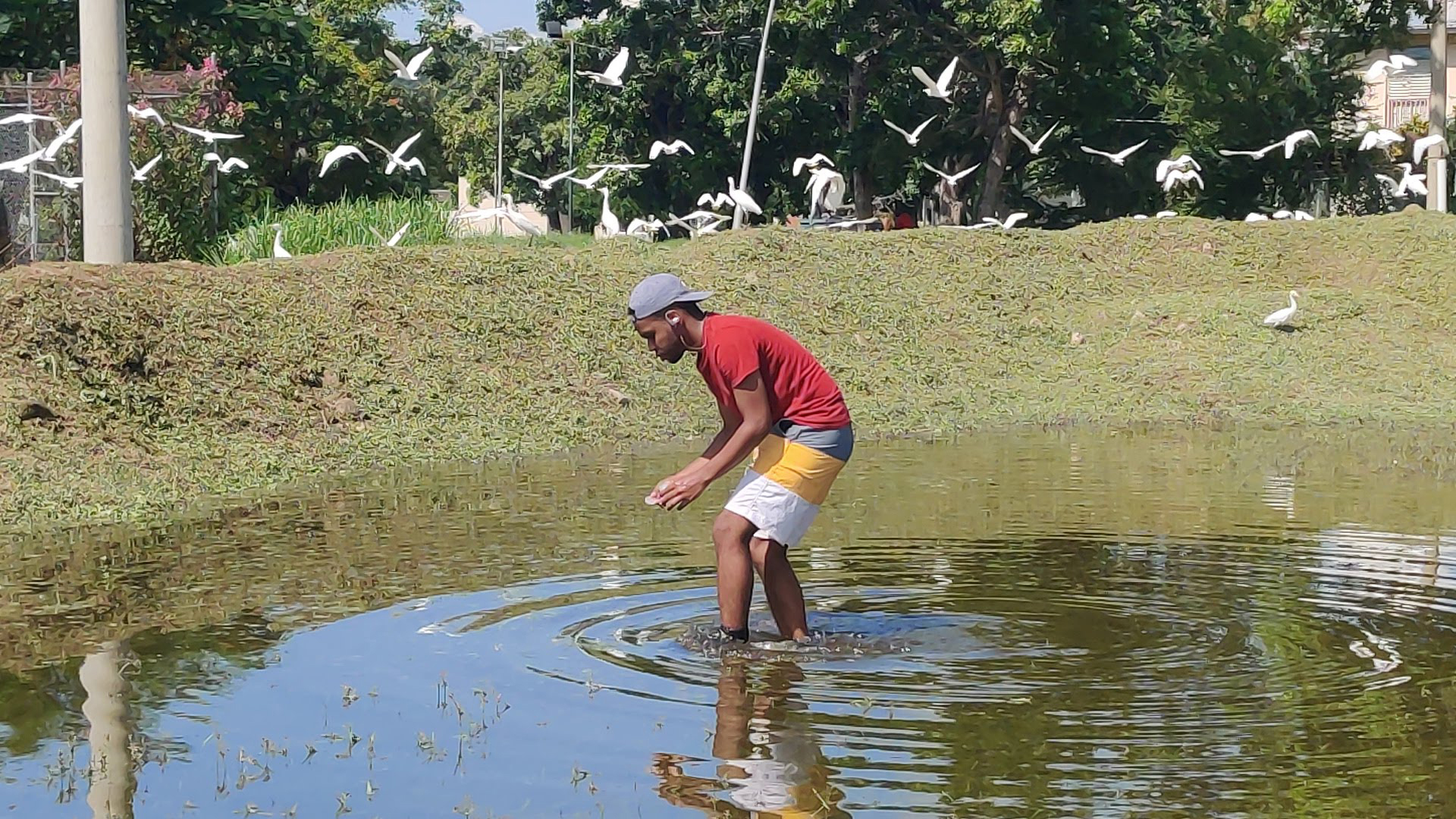 Black man in a red shirt and white, gray, and yellow shorts standing in a pond with birds flying in the background.