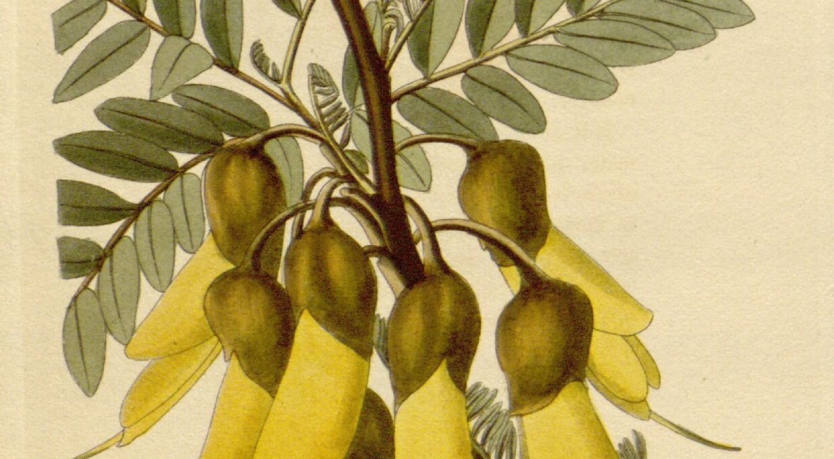 Read the full blog post