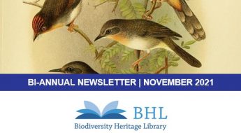 Screenshot of the November 2021 BHL newsletter