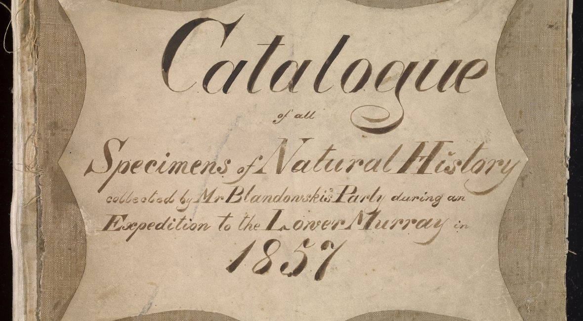 Read the full blog post