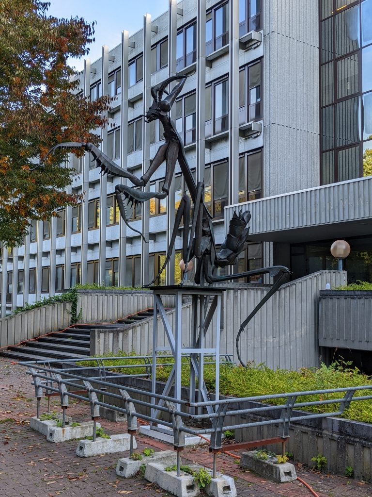 State of a praying mantis outside Centre Accueil Personnel Africain (CAVA)