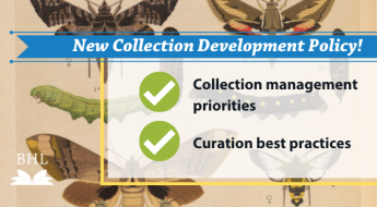 Image of moths behind text announcing new collection development policy