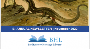 Preview of newsletter header with image of reptiles on rocks