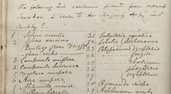 Page 18 of the Kew Record Book with handwritten list of plants