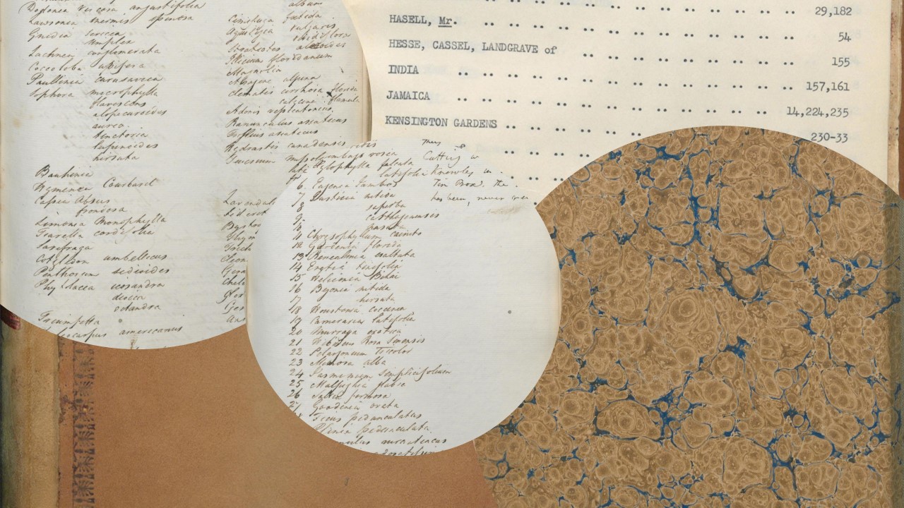 Collage of images cropped from the Kew Record Book