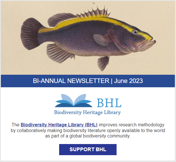 Read the full blog post