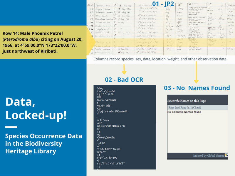 Example of handwritten observation data with poor quality OCR and no scientific names found on the page