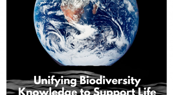 Cover of white paper with image of earth from space