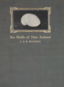 Cover of a book with gray background and sea shell image in the center, titled Sea Shells of New Zealand by C. E. R. Bucknill