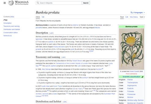 Wikipeida page for Banksia prolata