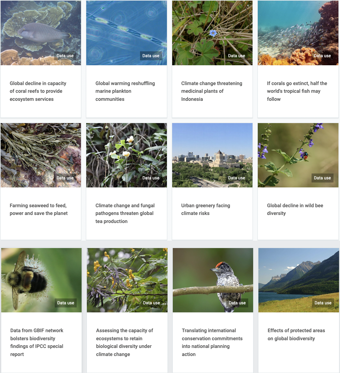 Collage of images representing data used from GBIF