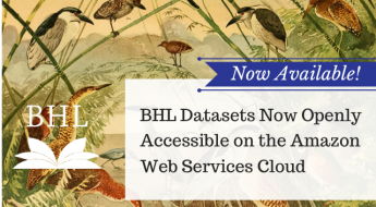 Now Available. BHL Datasets Now Openly Accessible on the Amazon Web Services Cloud. Background image of a variety of herons perching on branches