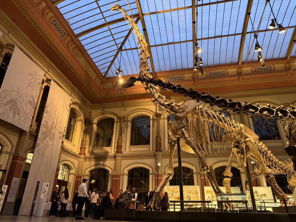 A group gathers beneath a towering dinosaur skeleton
