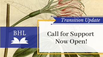 Transition Update. Call for Support now open. BHL logo. Background image of the stem, flower, and leaves of Carolinea minor
