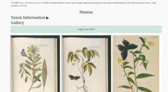 Sample search in BHL Image Explorer app showing three images in taxon Plantae, including scientific names, wikpedia links, wikimedia uses, and links to other databases
