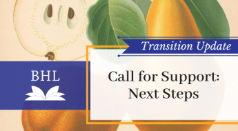 BHL logo with the text Transition Update. Call for Support: Next Steps. Over an image of 3 pears, 1 in cross section