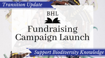 Transition update #6 BHL Fundraising Campaign Launch