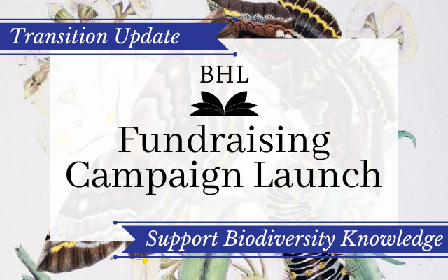 Read the full blog post