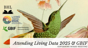Image of Golden tailed hummingbird with BHL, Living Data, and GBIF logos
