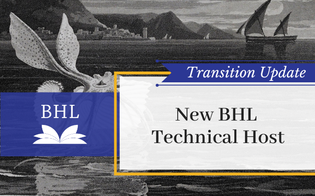 BHL Transition Update #8