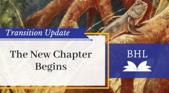 Text: Transition Update. The New Chapter Begins. Behind the text, a Bommi Fish walks on its fins to climb up a tree root.