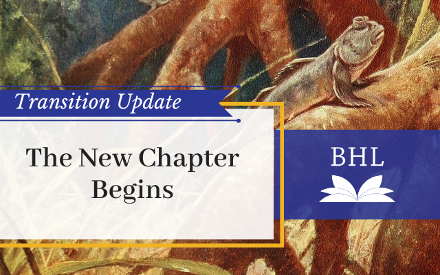 Read the full blog post