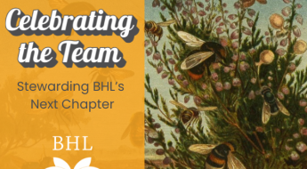 ecosystem depicting bee and flower species