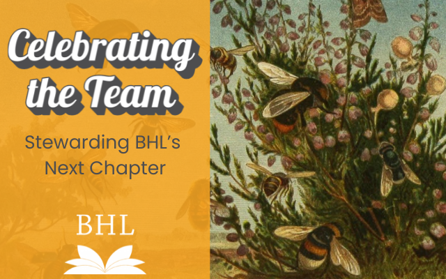 Read the full blog post