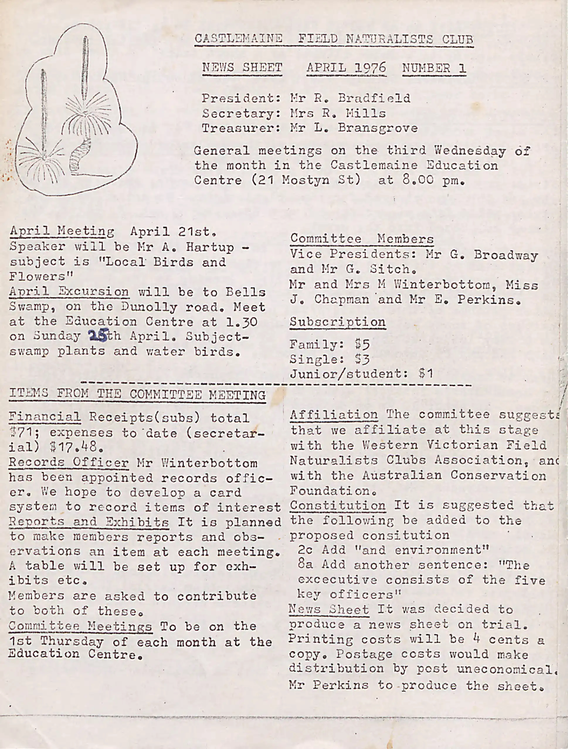 A page of a newsletter. There is an image of a grass tree in the top left corner.