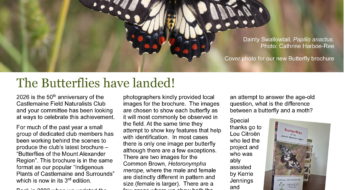 The front page of a full-color glossy newsletter. There is a photograph of a butterfly, and another of a butterfly brochure.