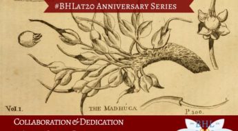 Illustration of Madhuca plant with blog title and BHL logo.