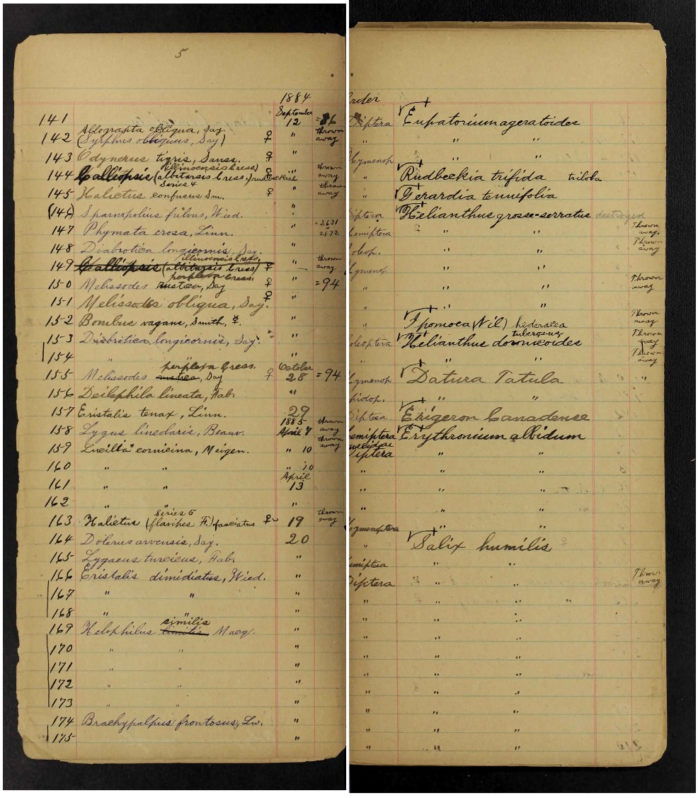 Two side-by-side pages of handwritten logs of scientific observations on lined yellow paper.